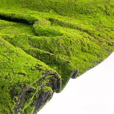 Искусственный мох в рулоне. Дизайн MPA06381